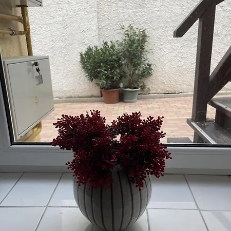 Takács Vendégház 2 Sopron Esterno foto